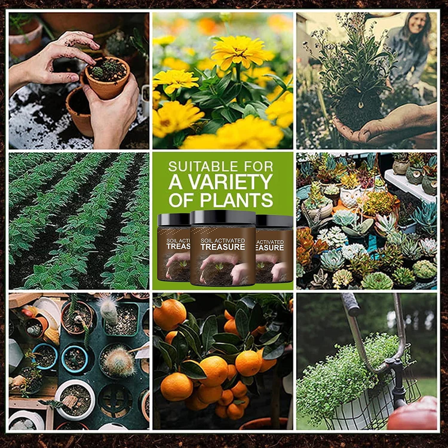 Soil Activated Treasure - Soil Fertility Enhancer (Pack of 2)