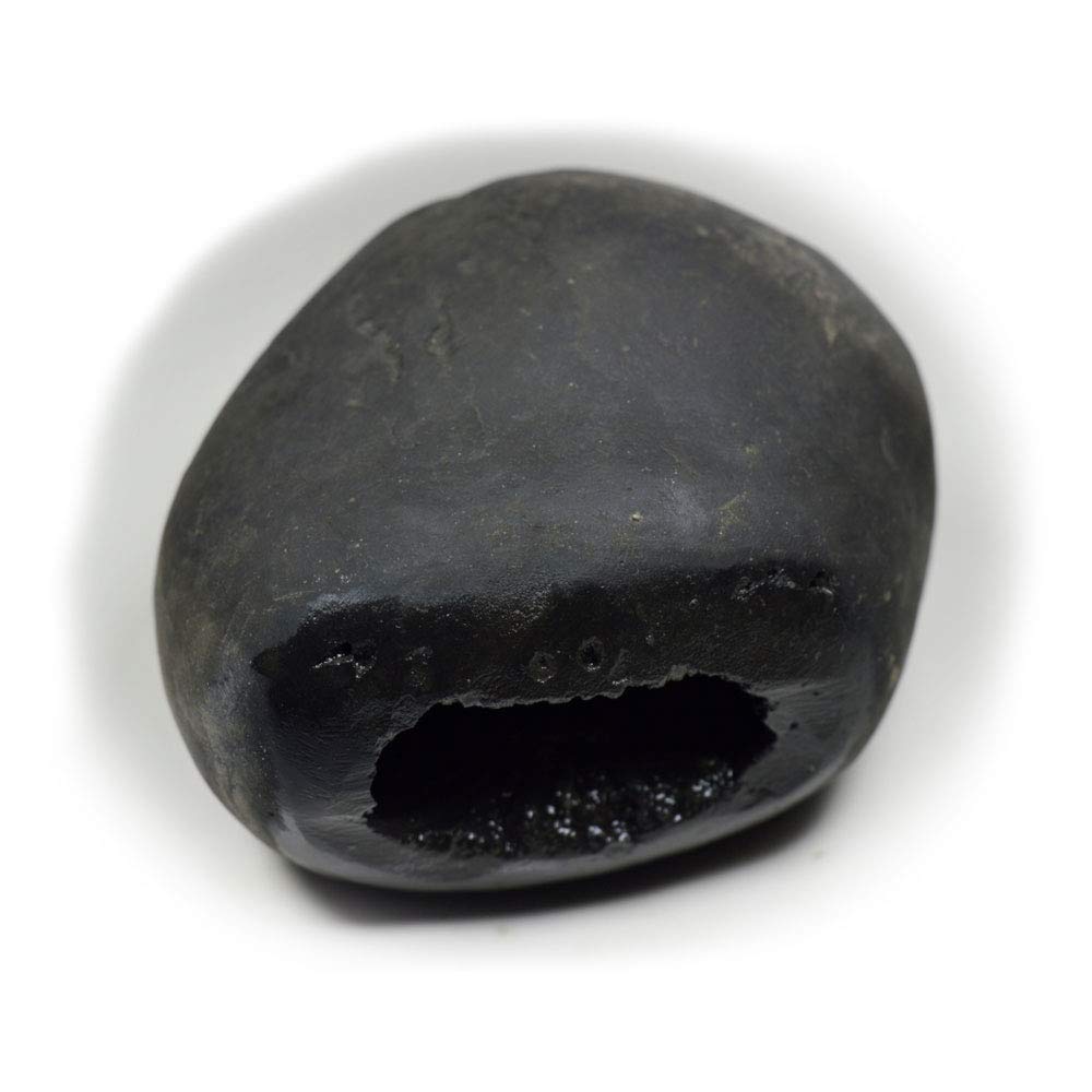 Bharatyug Original Damodar Shaligram Shila Stone from Gandaki River Nepal for Lord Vishnu Puja