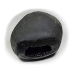 Bharatyug Original Damodar Shaligram Shila Stone from Gandaki River Nepal for Lord Vishnu Puja