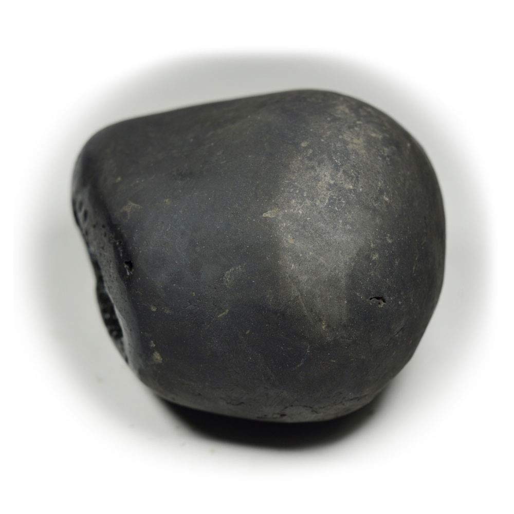 Bharatyug Original Damodar Shaligram Shila Stone from Gandaki River Nepal for Lord Vishnu Puja
