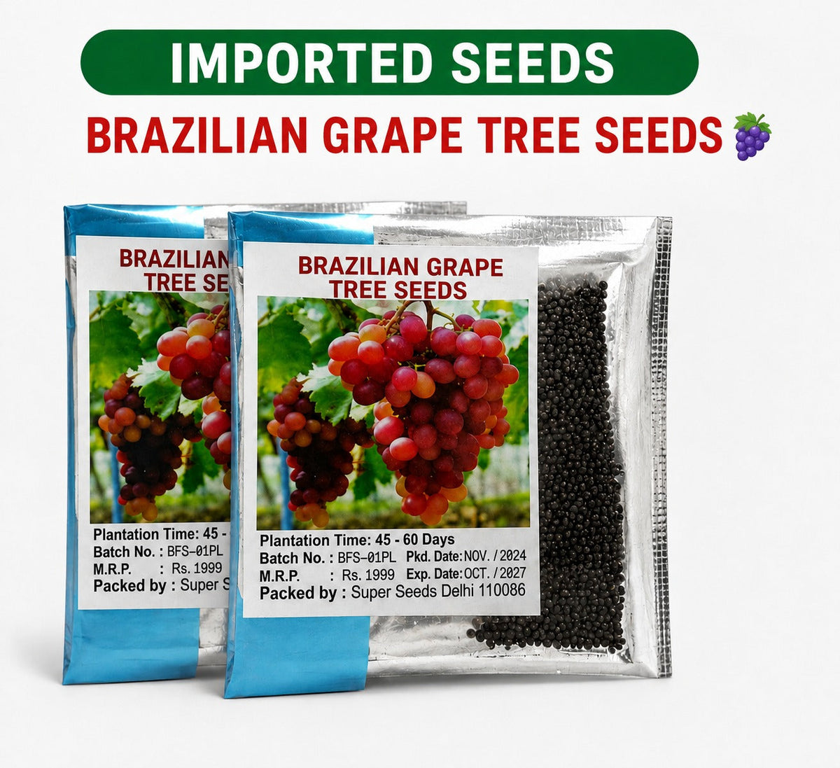 Two Brazilian grape tree seeds for tropical gardening in a home setting
