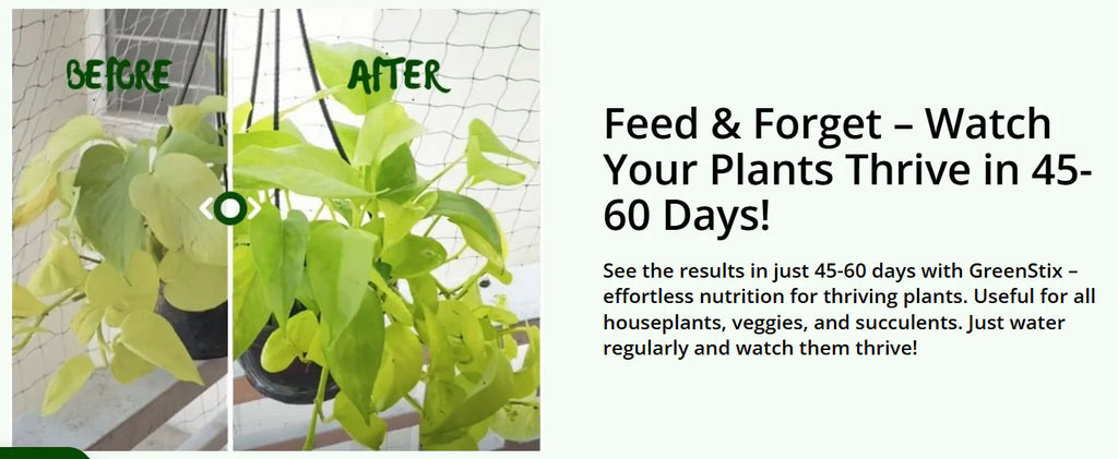Plant Grow Fertilizer Sticks for Potted Plants, 60-Day Nutrient Release