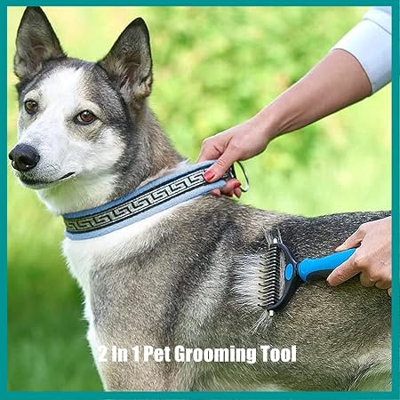 Pet Cleaning Slicker Brush for Cat and Dog Dematting and Hair Removal (Pack of 1)