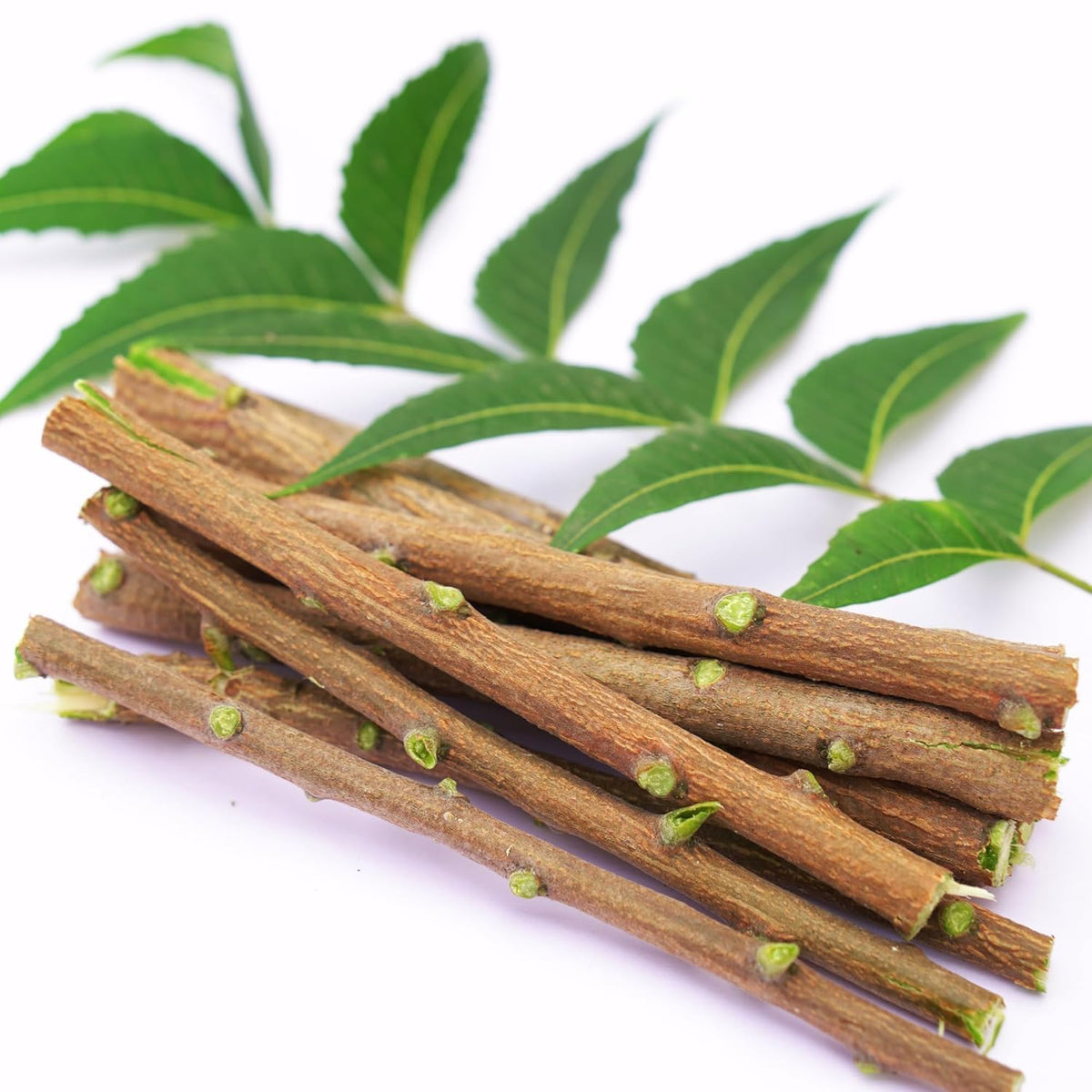 A bundle of twenty organic neem datun sticks for natural teeth cleaning