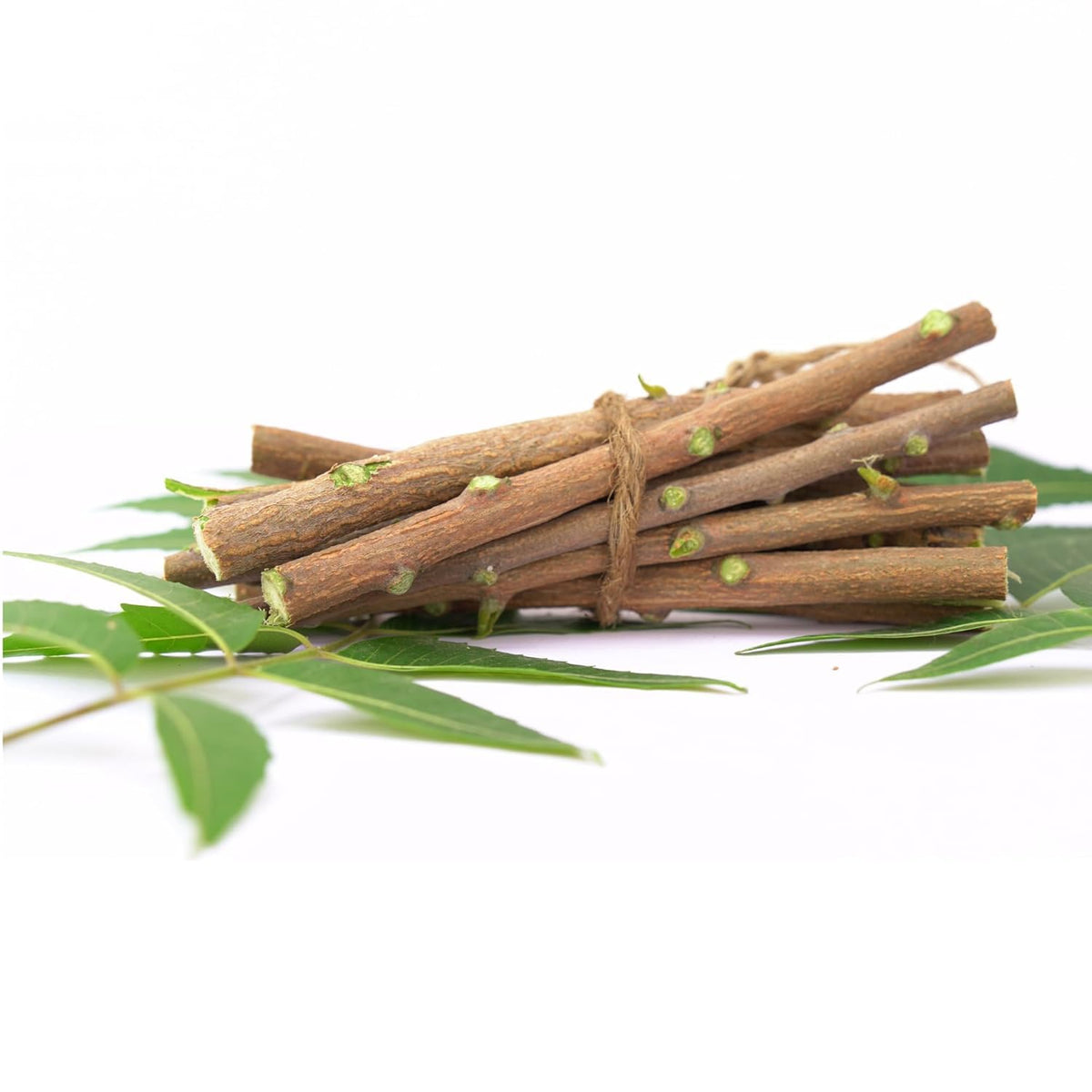 Neem Datun Sticks for Teeth - 100% Organic Neem Twigs (Pack of 20)