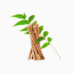 Neem Datun Sticks for Teeth - 100% Organic Neem Twigs (Pack of 20)