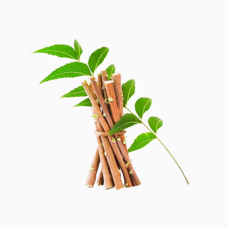 Neem Datun Sticks for Teeth - 100% Organic Neem Twigs (Pack of 20)