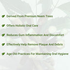 Neem Datun Sticks for Teeth - 100% Organic Neem Twigs (Pack of 20)