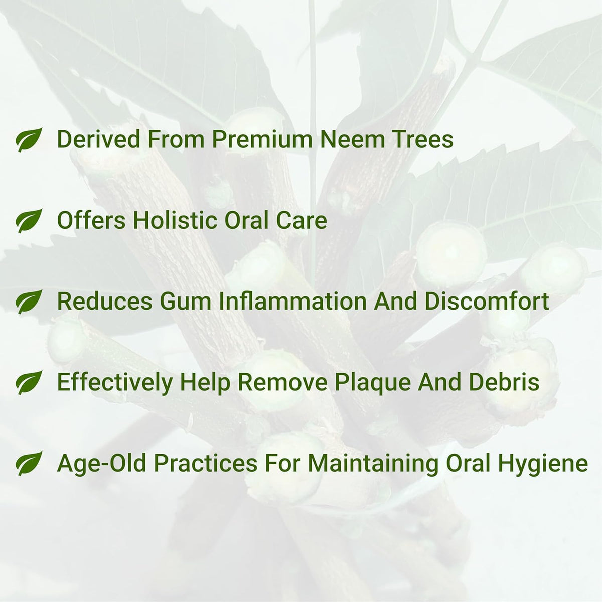 Neem Datun Sticks for Teeth - 100% Organic Neem Twigs (Pack of 20)
