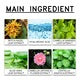 Green Tea Hydrating Water Toner 100ml (Pack of 2)