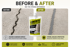 Concrete Crack Filler for Masonry Repairs, Pack of 1