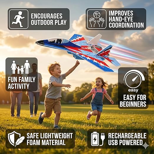 Electric Glider Fighter Aircraft with Remote Control and USB Charging