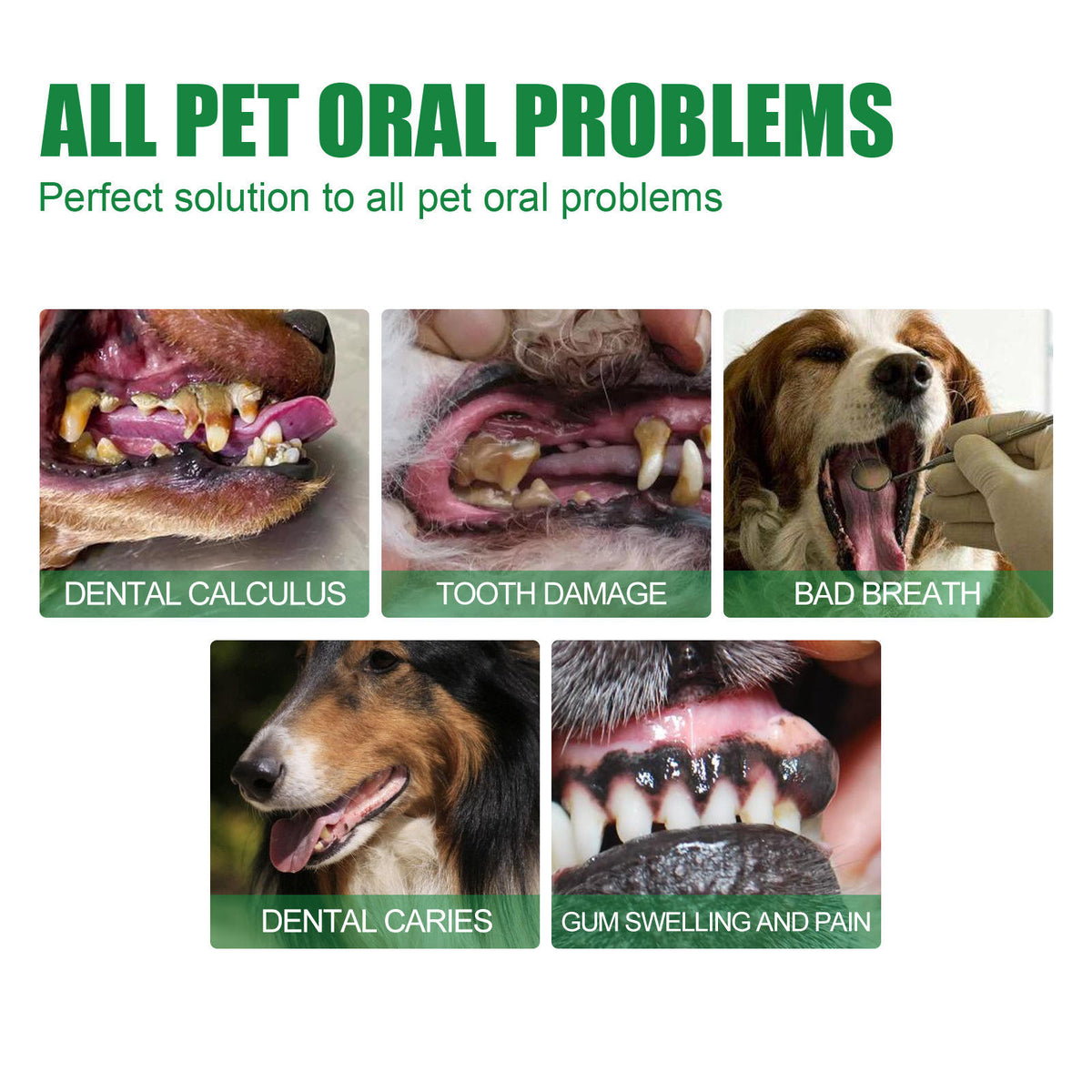 Pet Oral Spray 50 ml (Pack of 2)