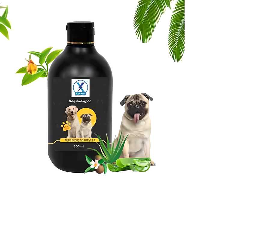 A single bottle of dog shampoo for pet bathing