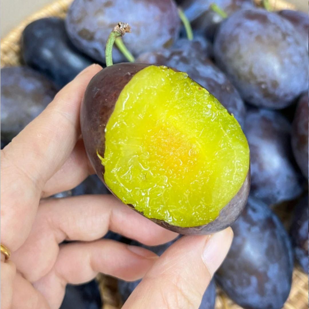 A pack of Blue Honey Goddess Plum seeds for planting