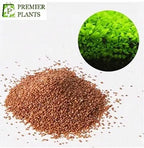 Natural aquarium grass seeds in a packet for freshwater tank aquascaping