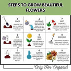150 Variety Organic Flower Seeds With Growth Supplement Pack