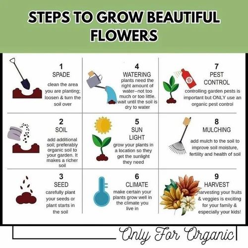 150 Variety Organic Flower Seeds With Growth Supplement Pack