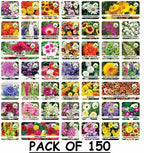 A selection of 150 varieties of organic flower seeds with a plant growth supplement pack