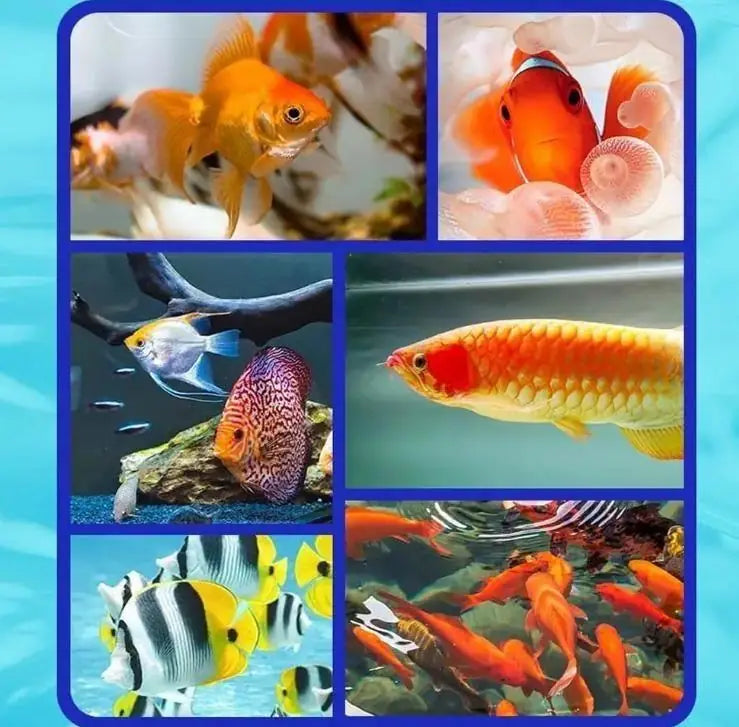 Fish Tank Water Purifier Algae Remover 100ml (Pack of 1)