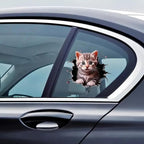 Two durable adhesive cat pattern stickers for car exterior decoration