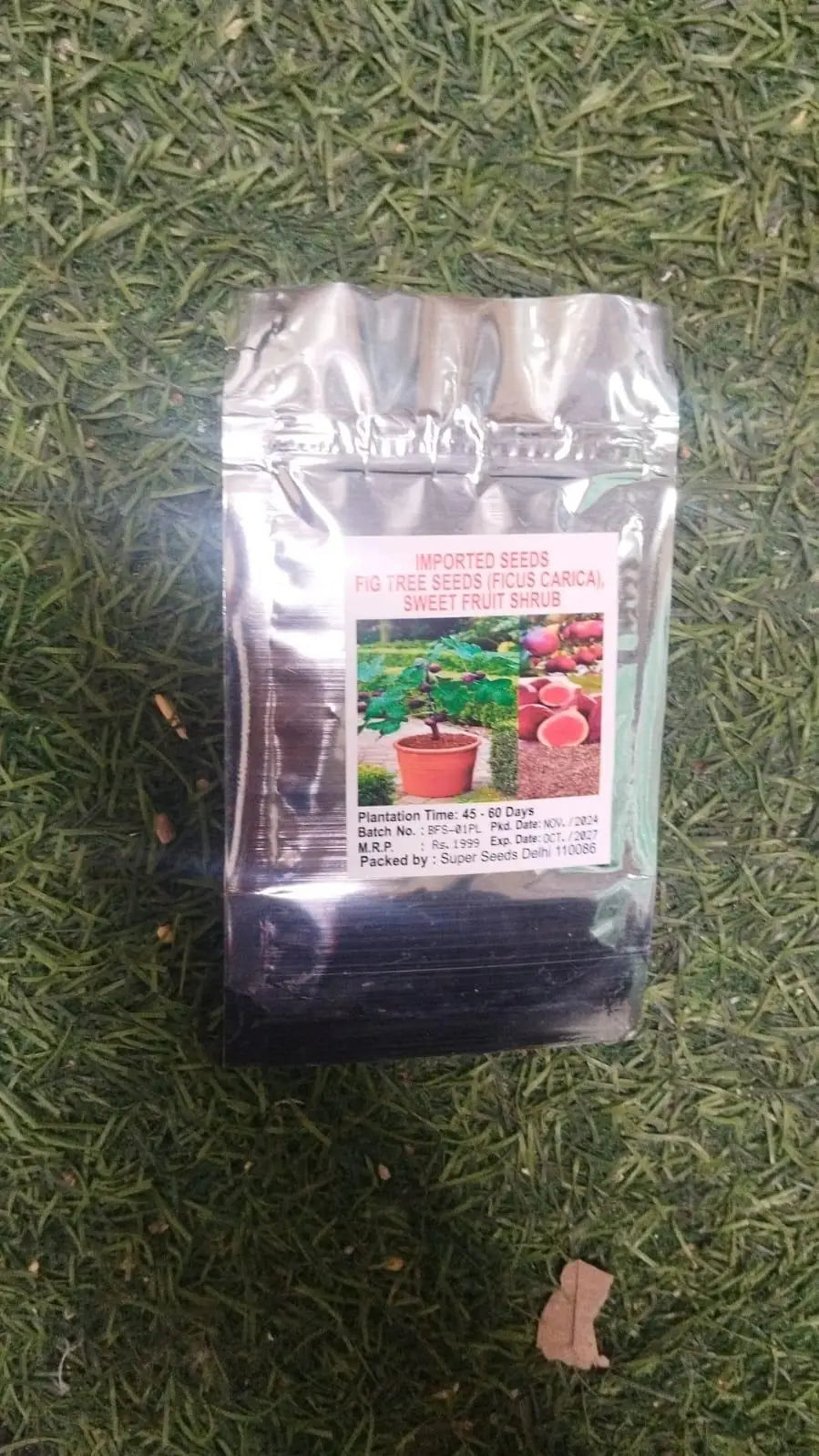 Fig Tree Seeds with Plant Booster - Growth Combo Pack