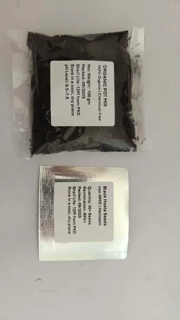 Black Hosta Seeds with 100g Organic Potting Mix Combo