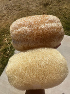 Apple Luffa Seeds - Natural Vegetable Planting Seeds
