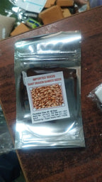 Bambusa gigantea Seeds - Giant Bamboo Growing Seeds - 1 Packet