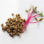Organic Beetroot Seeds and Potting Mix - 100g Pack