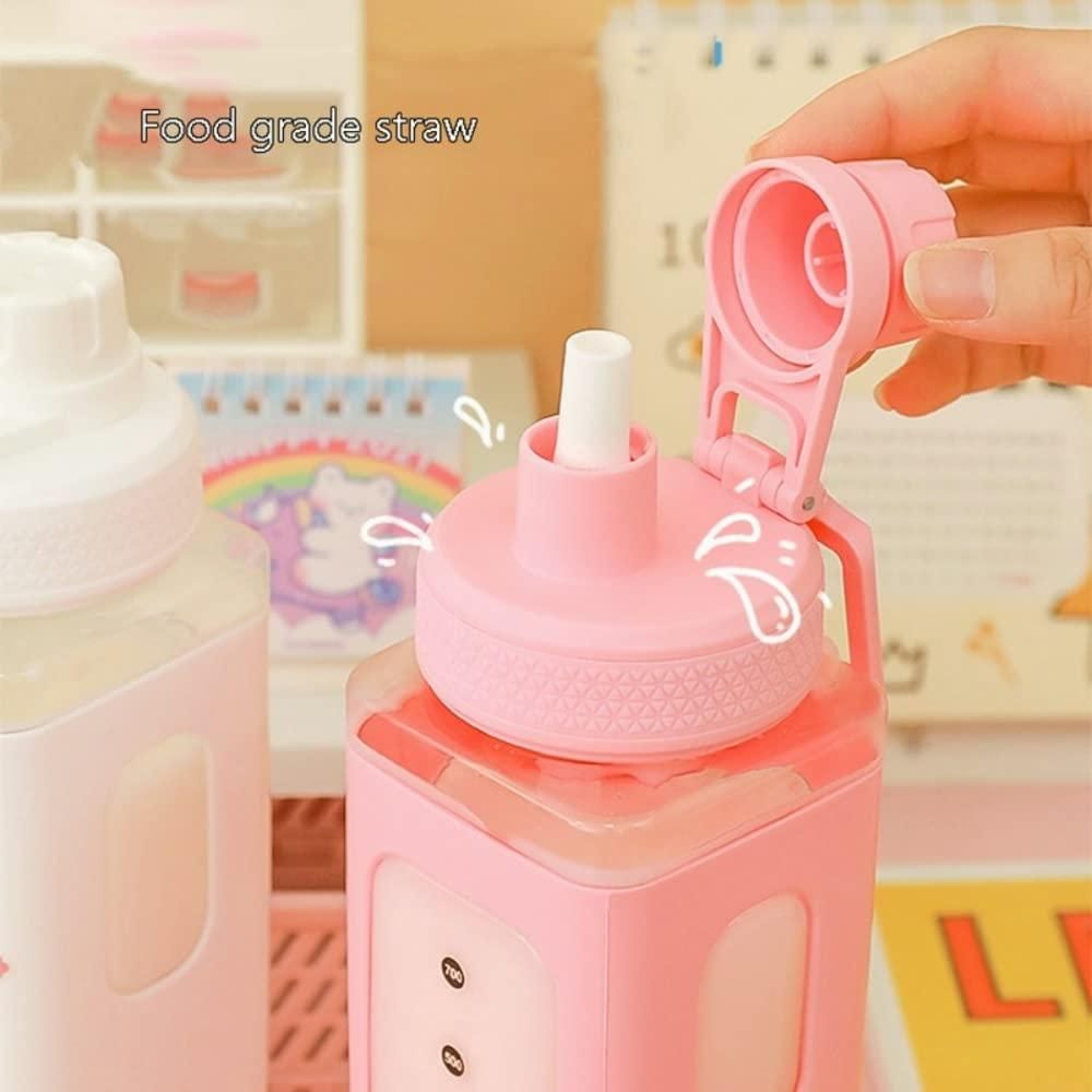 700ml Kawaii Water Bottle with Straw and Lid, Assorted Colours
