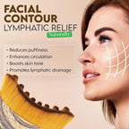 Lymphatic Contour Face Brush for Facial Drainage and Sculpting