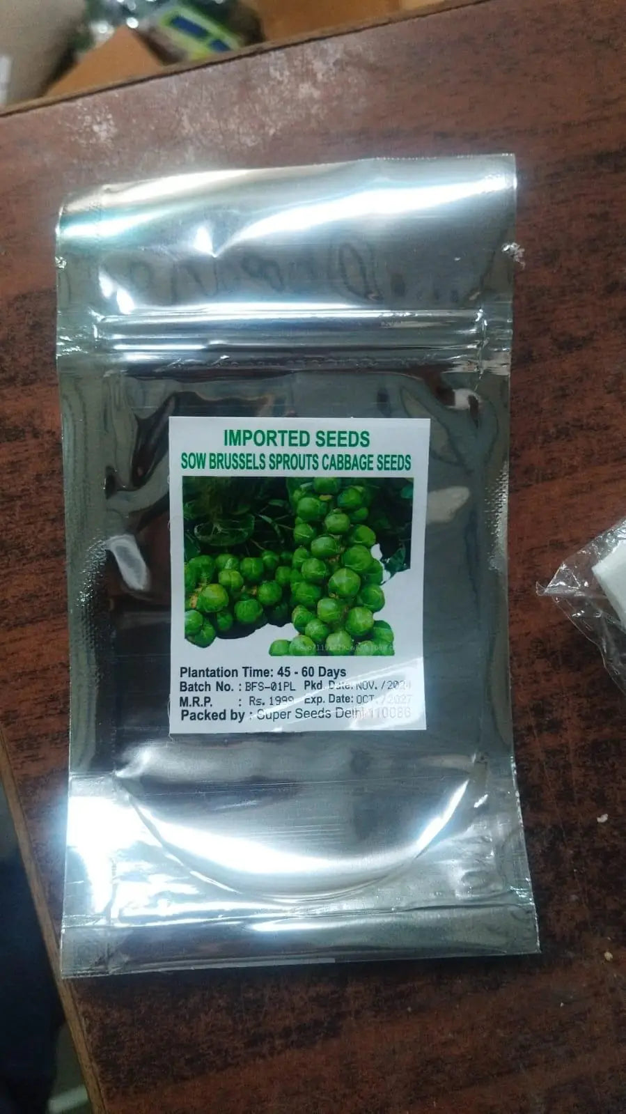 Organic Brussels Sprouts Cabbage Seeds - Pack of 1