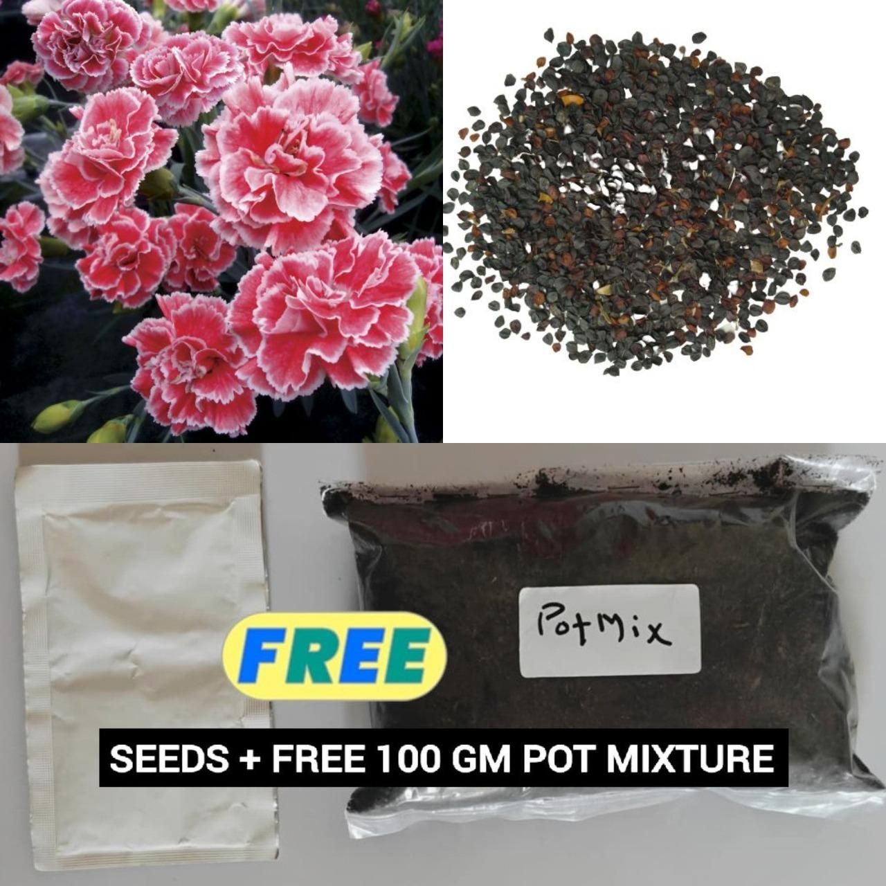 A packet of carnation seeds next to a bag of potting mixture on a plain background