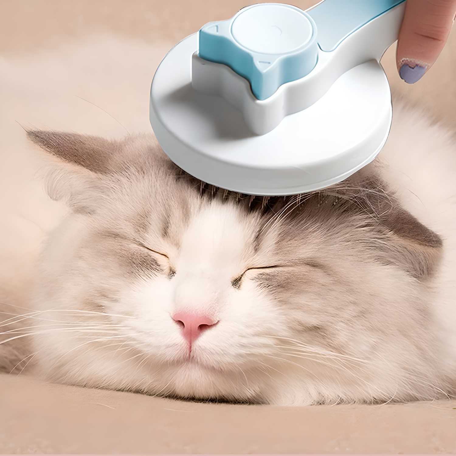 Cat head shaped plastic pet grooming comb for cats