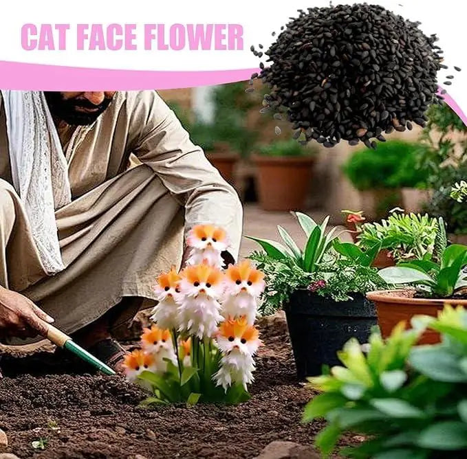 Cat Eye Dazzle Seeds and Plant Growth Serum package