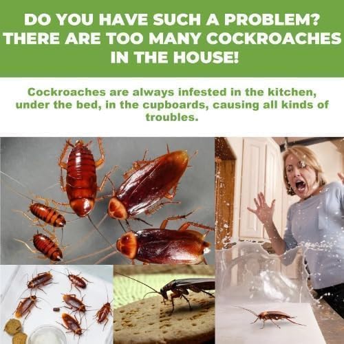 Roach Killer Indoor and Outdoor Traps (Pack of 24)