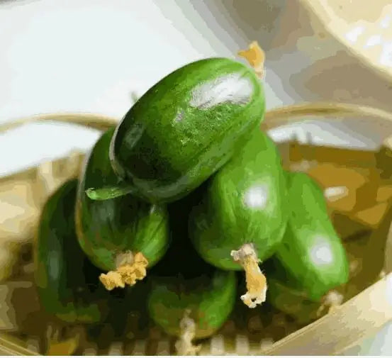 Cucumber Golden Boy Lady Seeds - Pack of 1