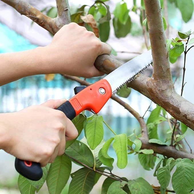 Foldable Heavy Duty Carbon Steel Pruning Saw for Gardening and Bonsai Trimming
