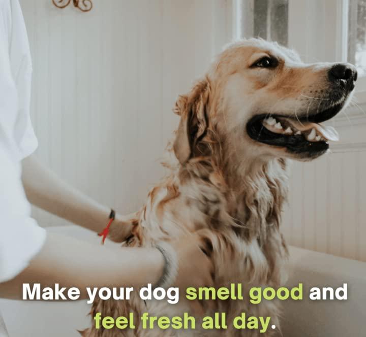 Dog Shampoo (Pack of 1)