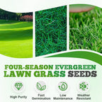 A two-pack of evergreen grass seeds designed for cold and drought resistance in home gardens.