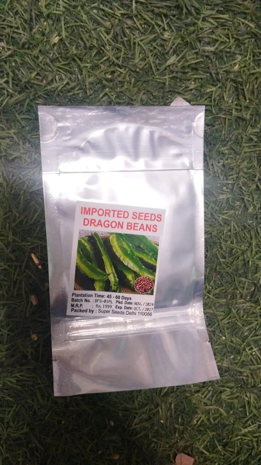 Dragon Bean Seeds (Pack of 2)
