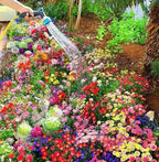 Varieties of Flower Seeds (Pack of 100) With Plant Growth Serum