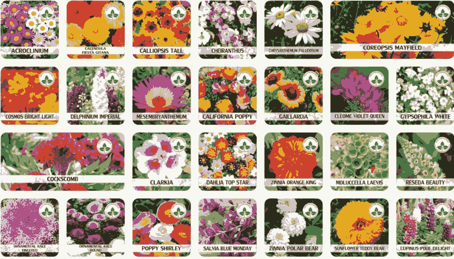 Varieties of Flower Seeds (Pack of 100) With Plant Growth Serum