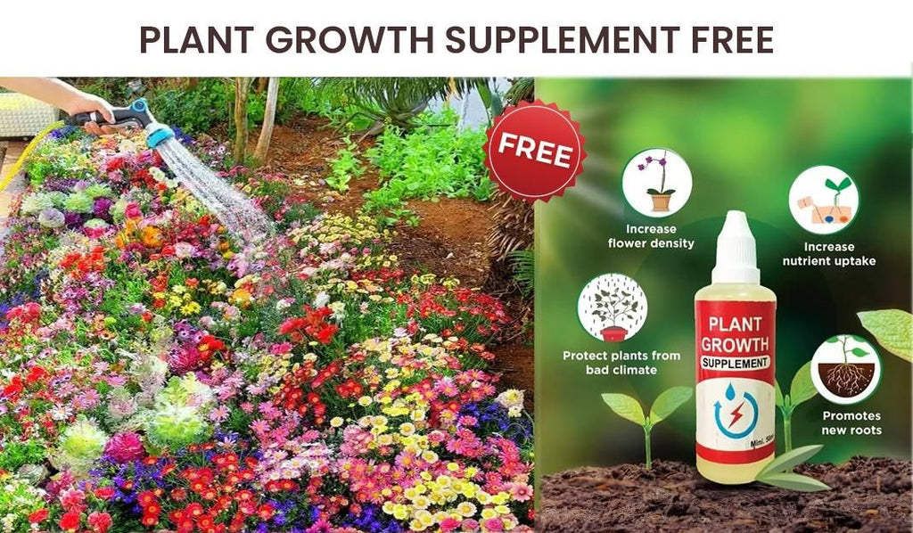 A pack of 100 assorted flower seeds with a small bottle of plant growth serum on a plain background.