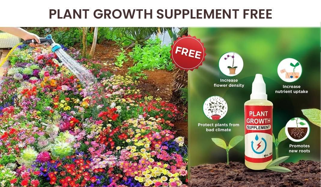 A pack of 100 assorted flower seeds with a small bottle of plant growth serum on a plain background.