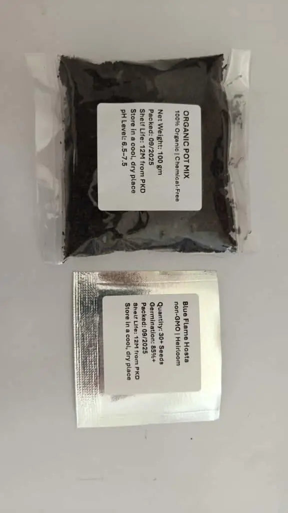 Blue Flame Hosta Seeds with Organic Pot Mix Starter Kit