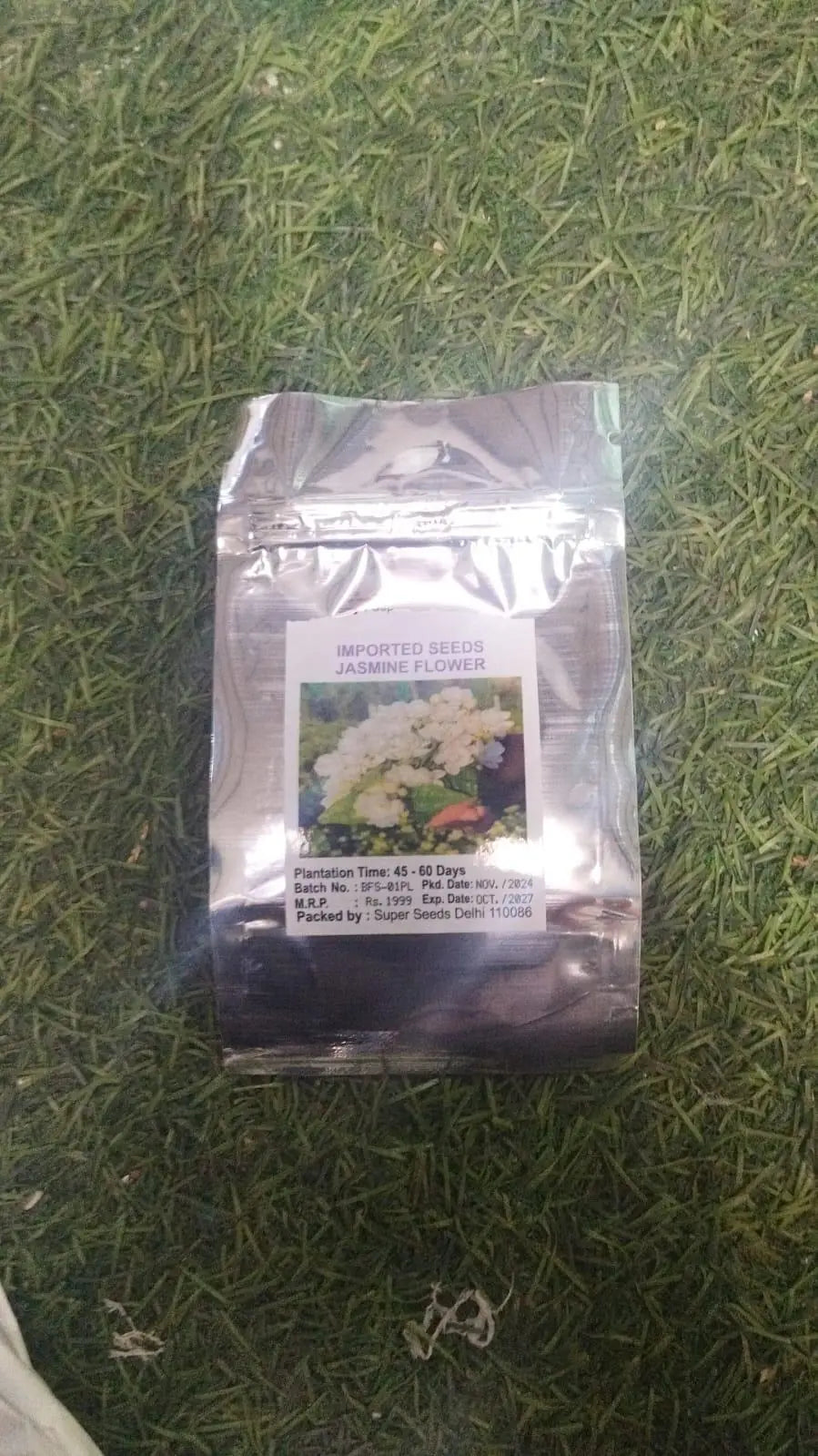Double Jasmine Flower Seeds - Pack of 2