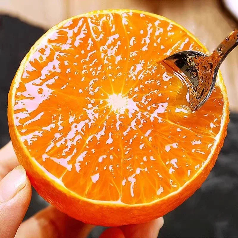 Two packs of natural jelly orange seeds for gardening