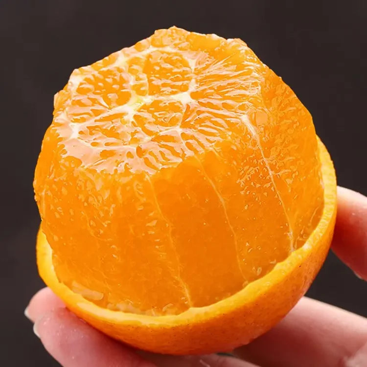 Imported Jelly Orange Seeds - Pack Of 2